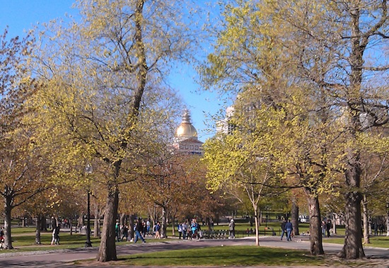 boston-common
