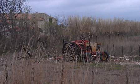 The Camargue farm tractor