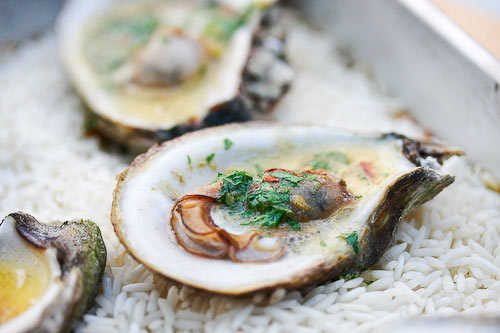 Oysters