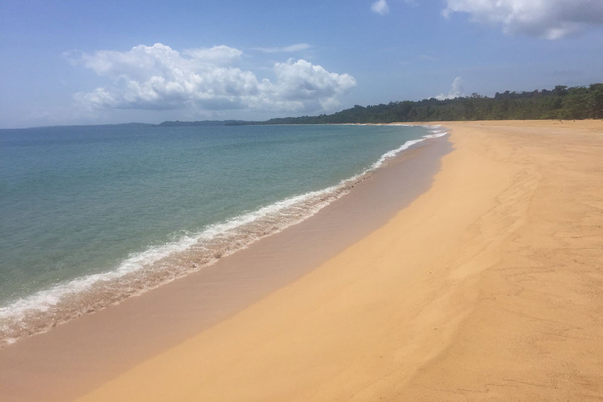 bluff beach
