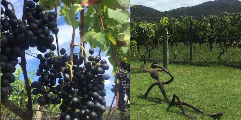 Passage Rock Vineyards
