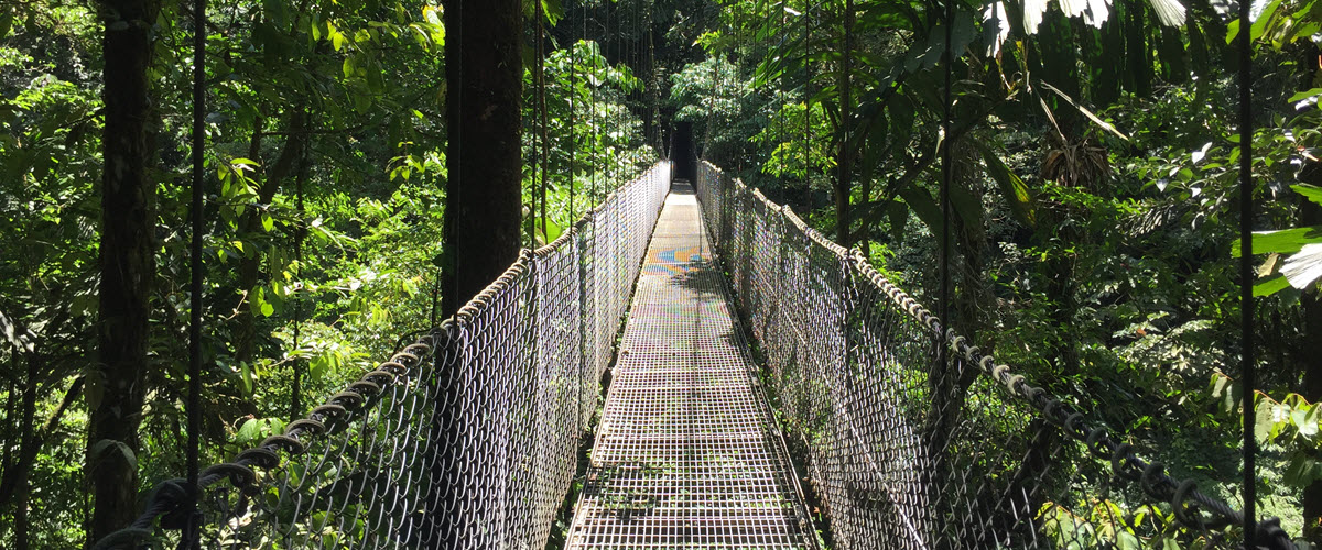 hanging bridges arenal
