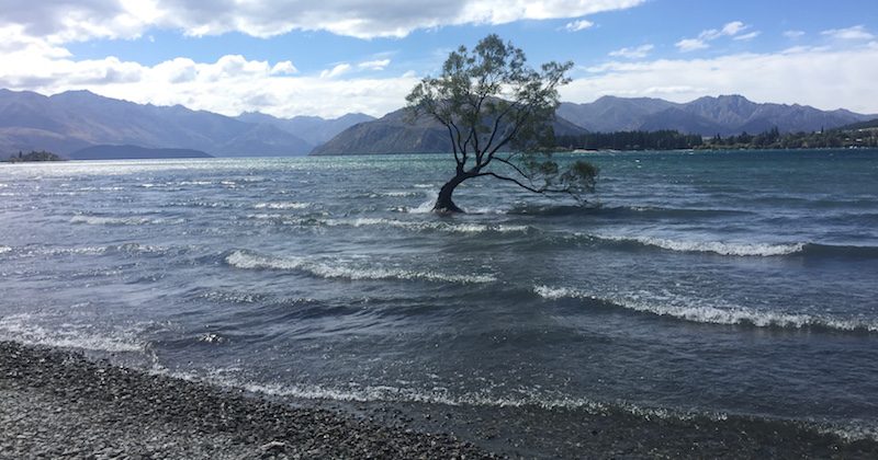 2 Week New Zealand Itinerary 2 Week New Zealand Itinerary